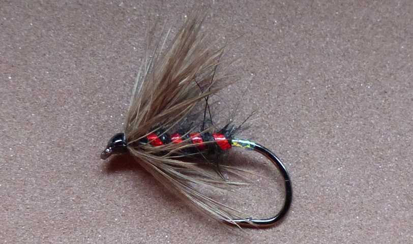 Wet Fly Variationen 0161.JPG