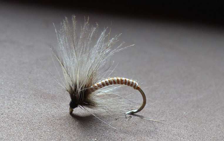 Emerger Variationen 0011.JPG