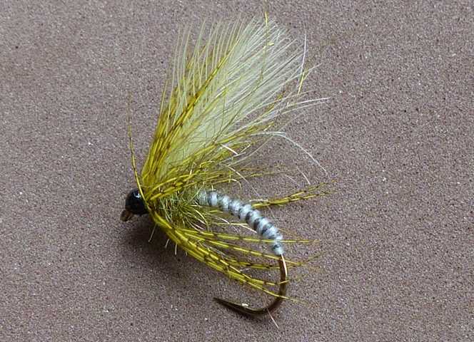 Emerger Variationen 0021.JPG