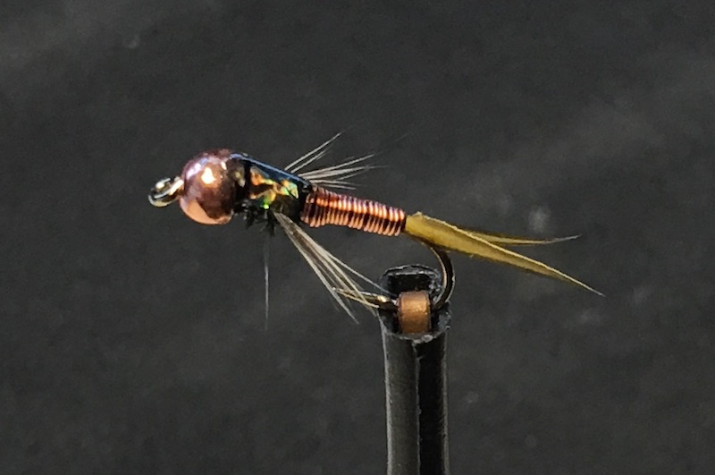 Copper John var.jpg
