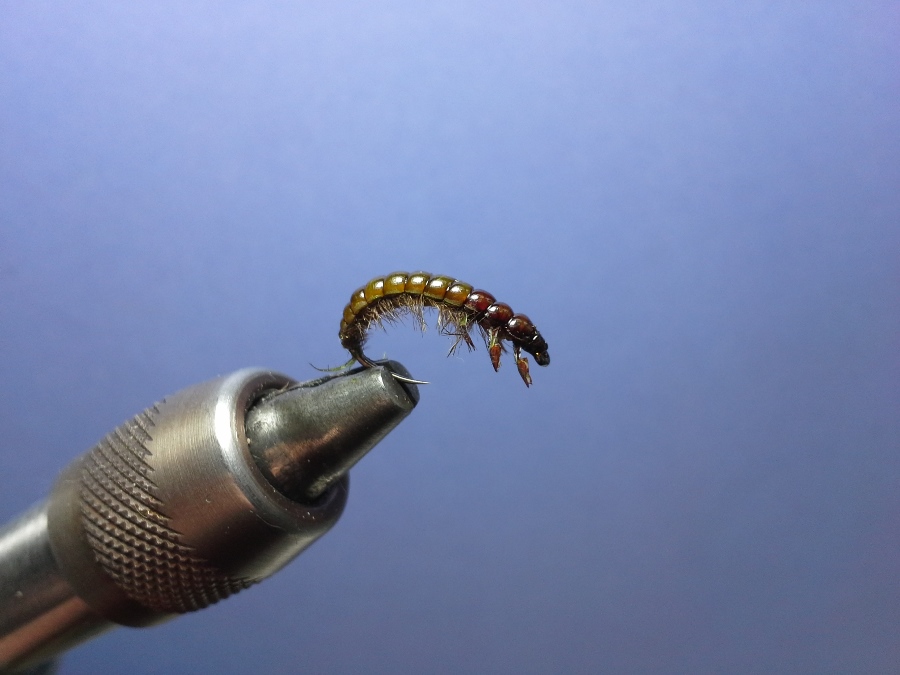 caddis #14