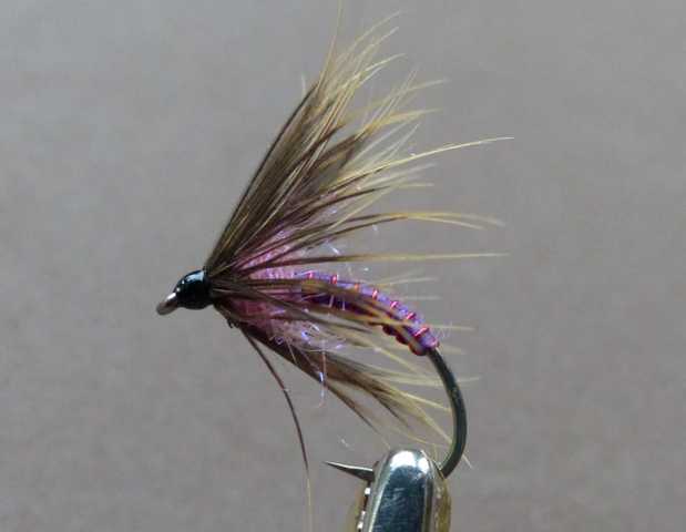 Wet Fly Variationen 0181.JPG