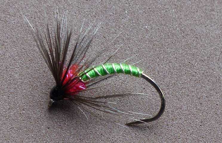 Wet Fly Variationen 0191.JPG