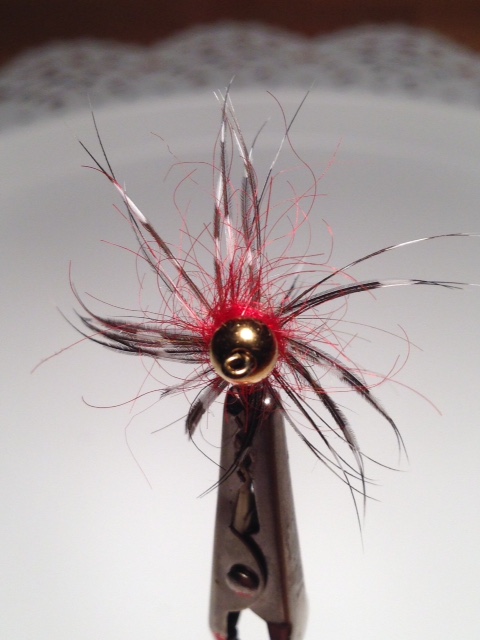 Perlhuhn -Hares ear 1.jpg