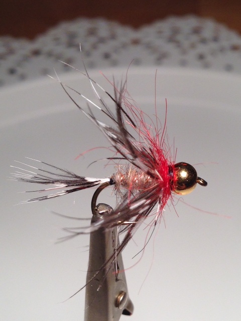 Perlhuhn -Hares ear.jpg