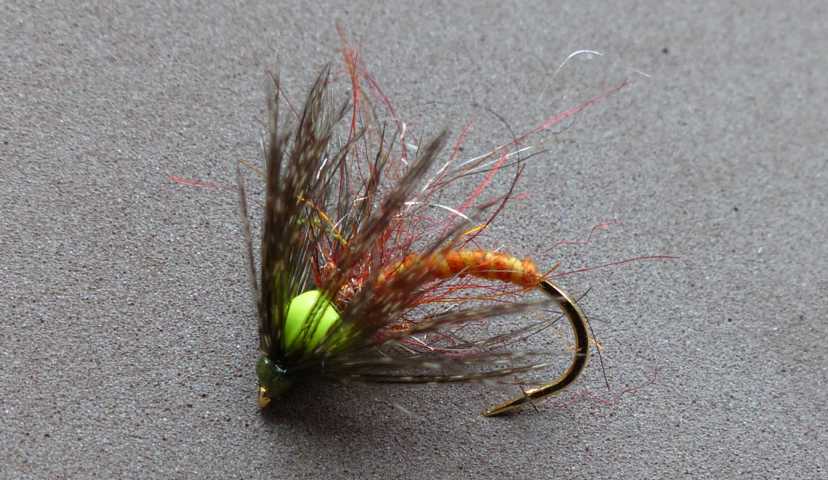 Nymphen Variationen 0021.JPG