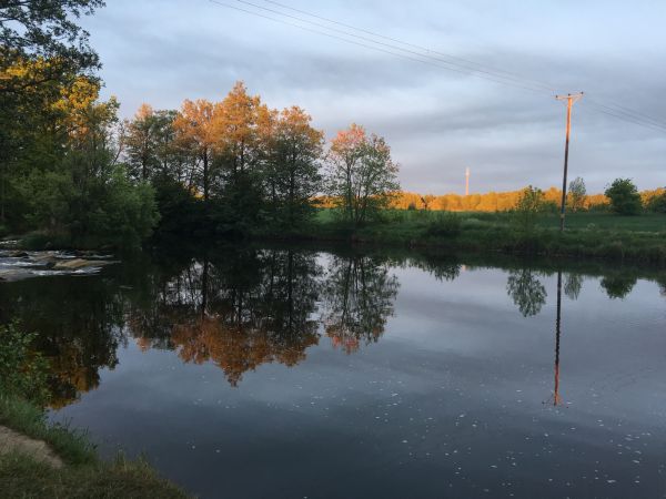 Pool 7...Ende zu 8...war in den letzten Tagen produktiv