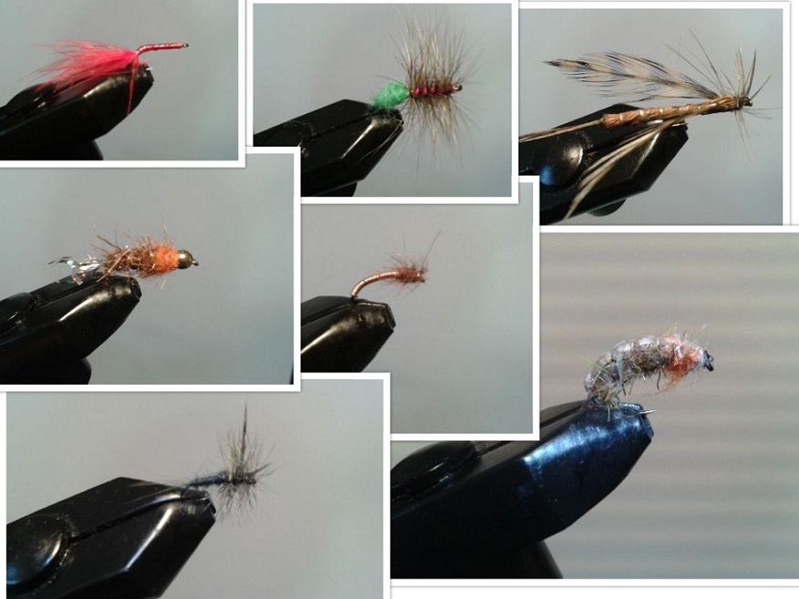 kleiner Ausschnitt meiner ersten Fliegen