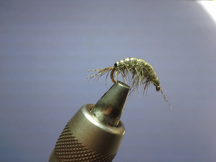 Bachflohkrebs/Scud #12