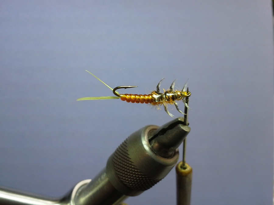 Golden Stone #12