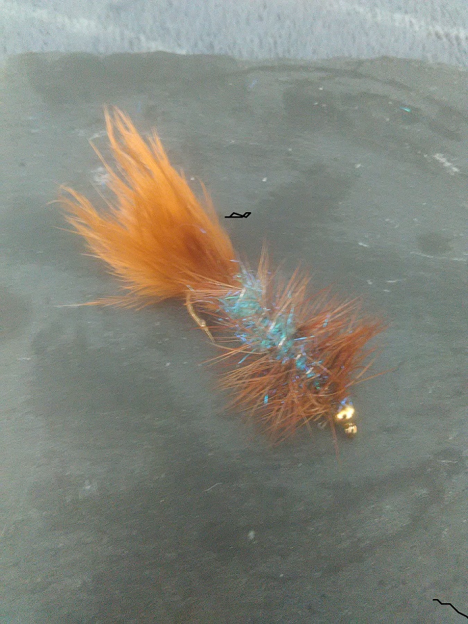fliegenfischem.jpg