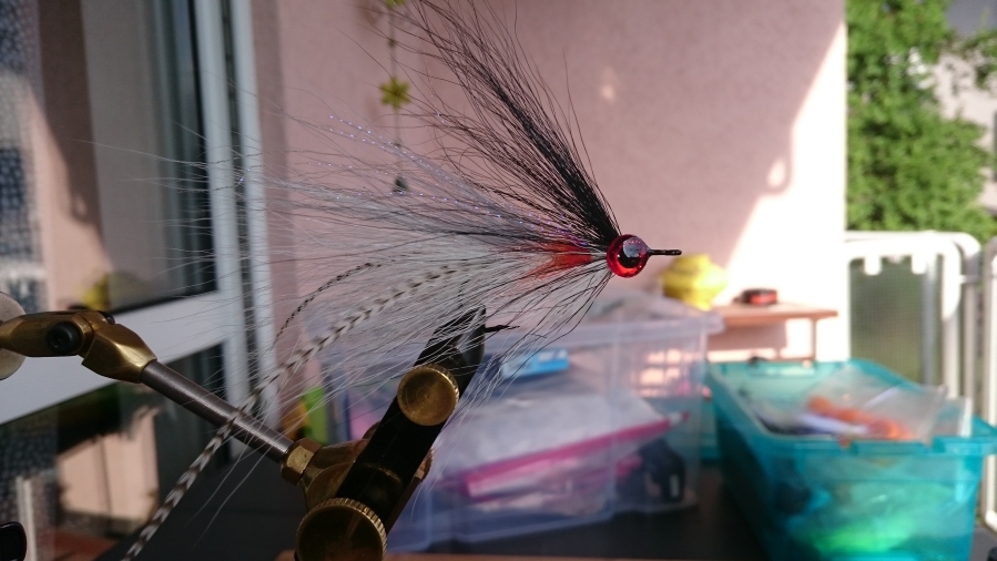 DSC_0709.JPG