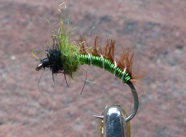 Nymphen Variationen 0031.JPG
