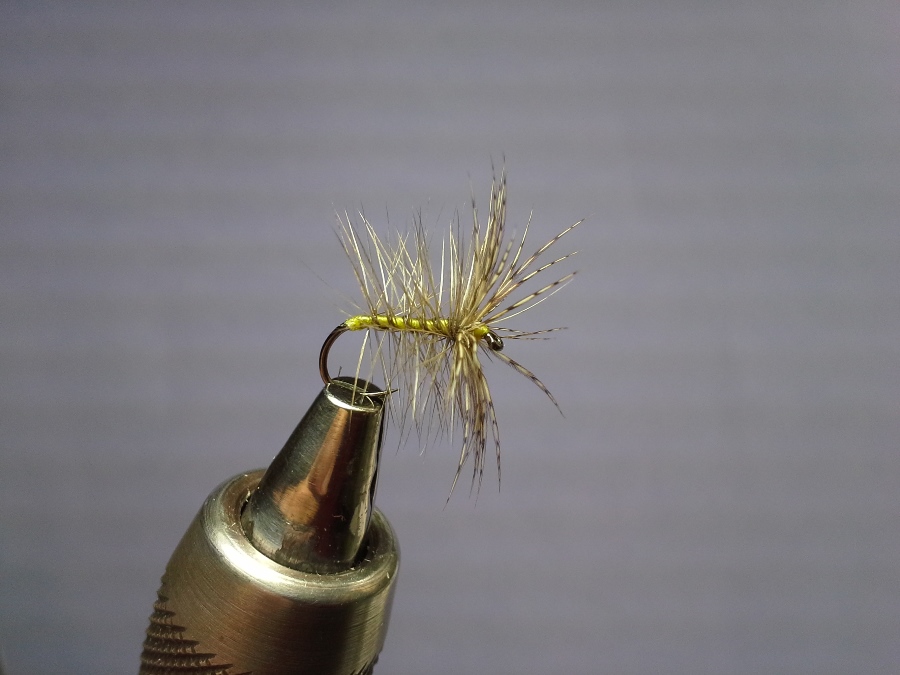 Assassine De Pequegnot #14