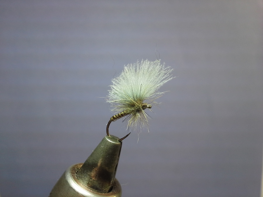 Quill Punx Dry #14 ....die Frisur is grade modern, sieht man desöfteren.