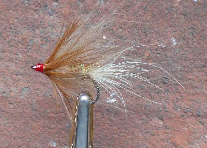 CDC Wet Fly Variationen 0013.JPG