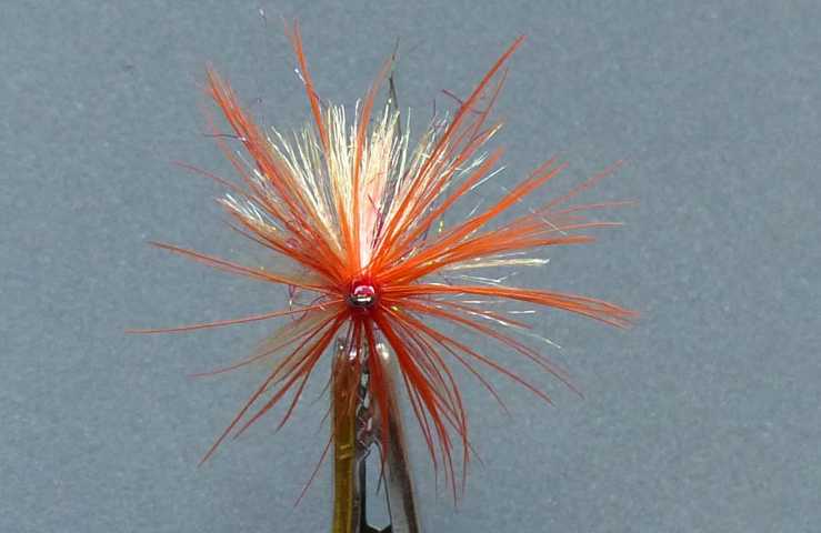 Wet Fly Variationen 0231.JPG