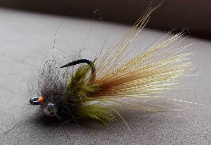 Karpfenfliegen Variationen 0101.JPG