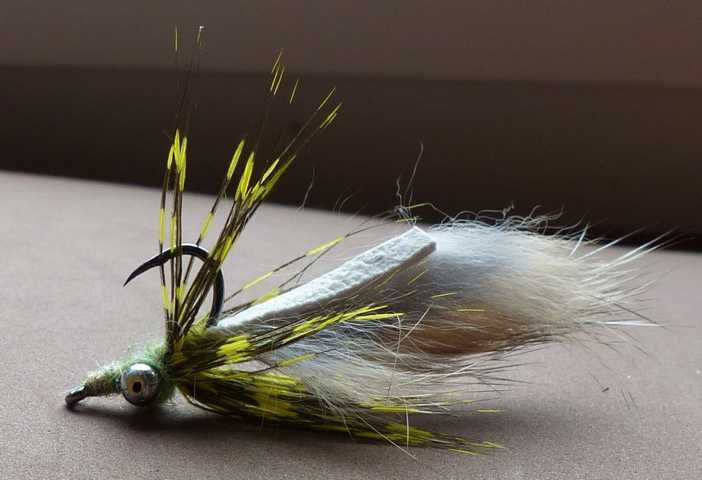 Karpfenfliegen Variationen 0121.JPG