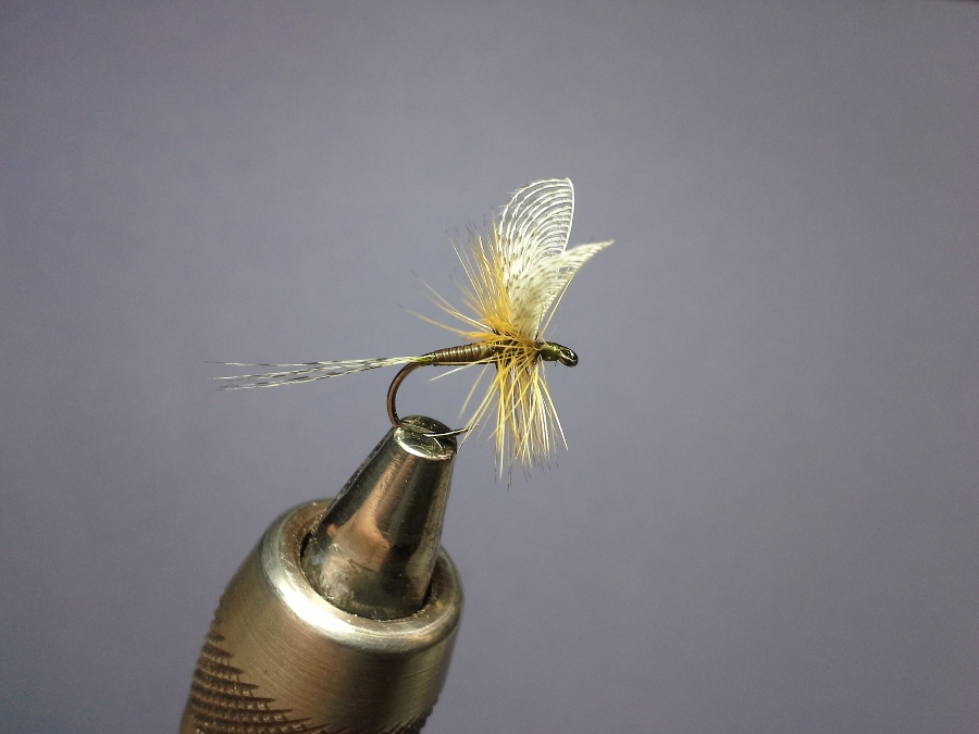 Catskill mit Wally #14