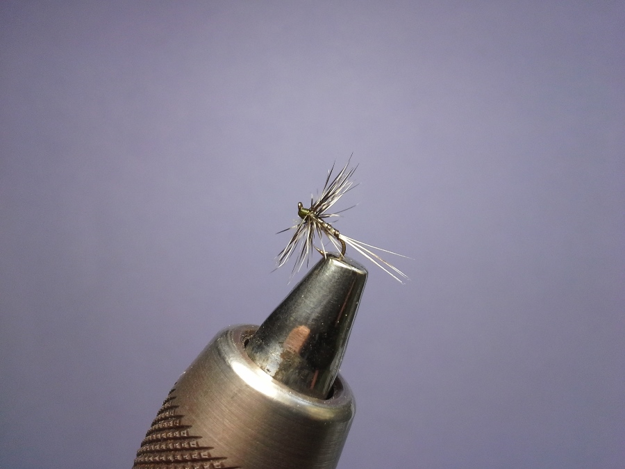 Testsieger Stiftung Knotentest 08/2016