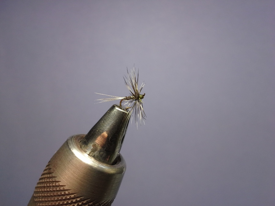 Testsieger Stiftung Knotentest 08/2016