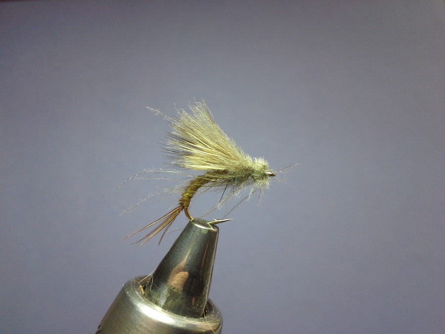 CDC Split Wing #14