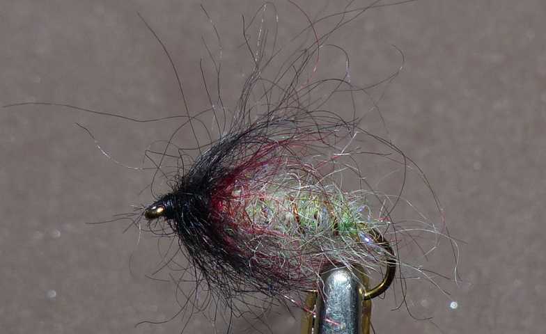 Nymphen Variationen 0061.JPG