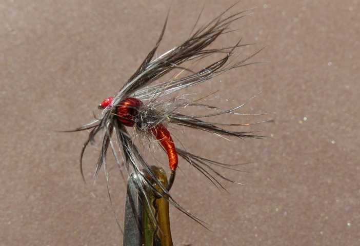 Nymphen Variationen 0071.JPG