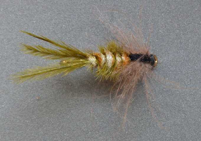 Nymphen Variationen 0081.JPG