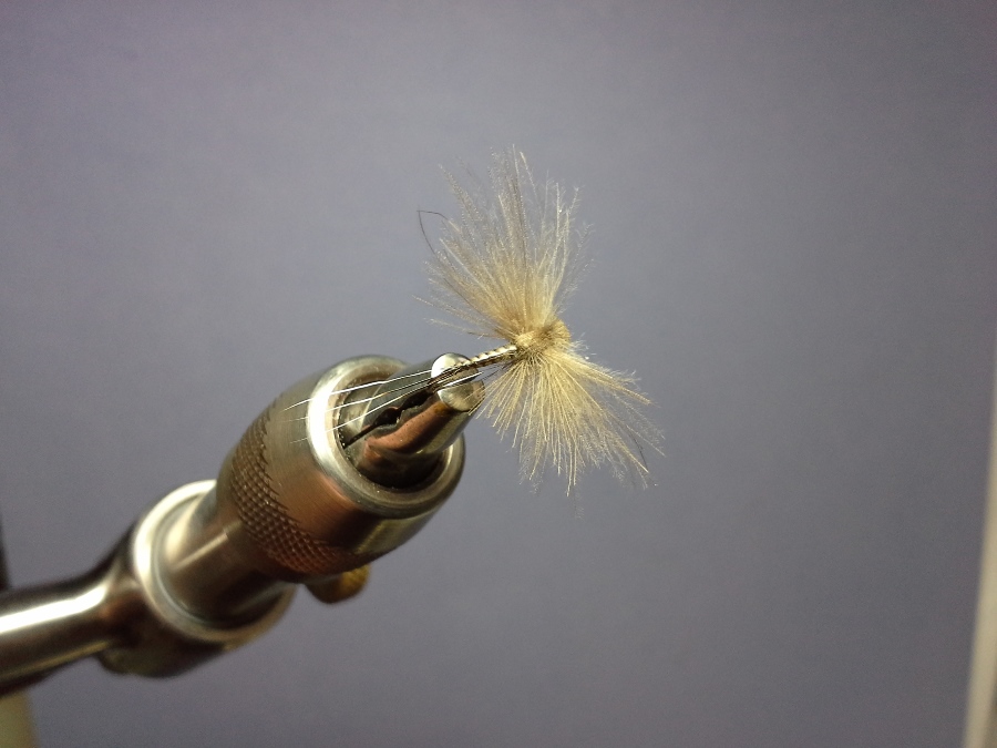 Spent Wing Baetis #16