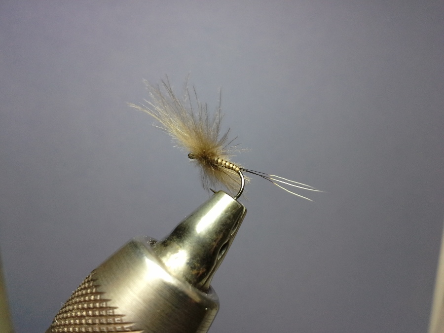 Spent Wing Baetis #16