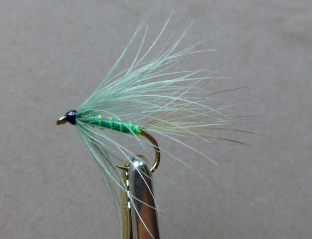 Wet Fly Variationen 0321.JPG