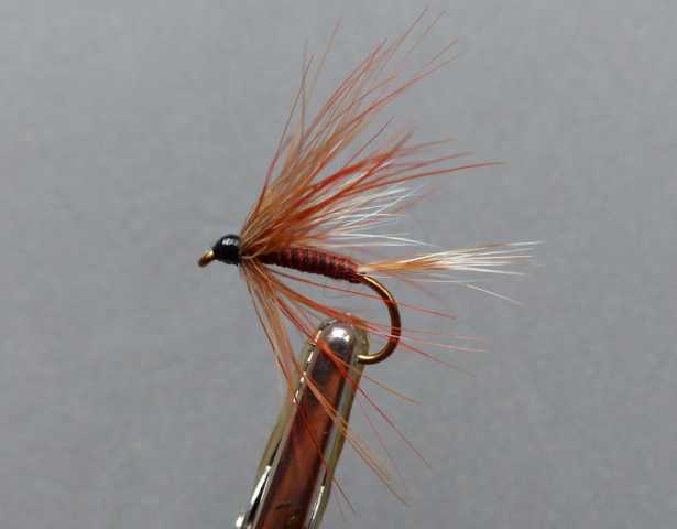 Wet Fly Variationen 0331.JPG