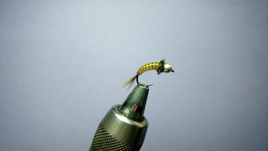 Ninfa mit Peacock Kragen #14