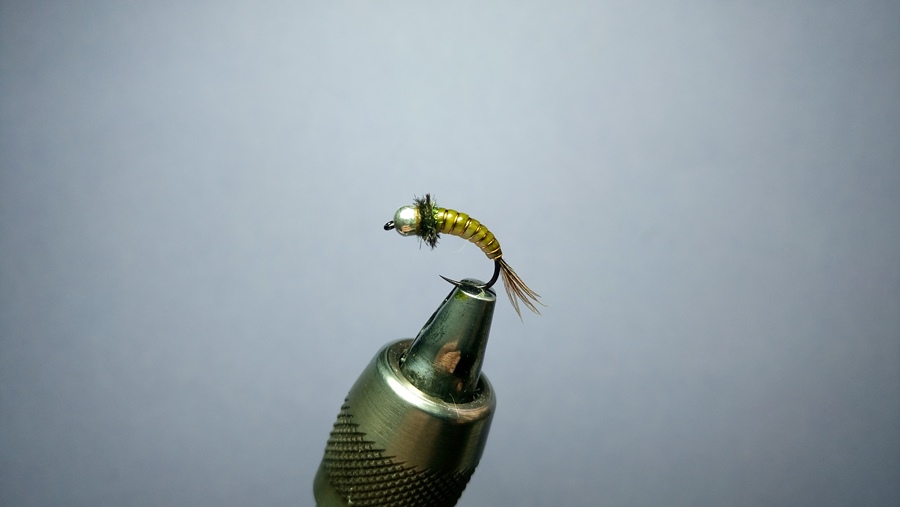 Ninfa mit Peacock Kragen #14