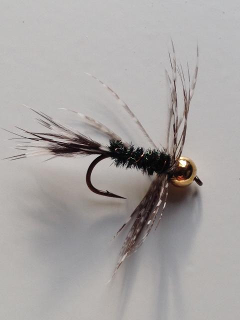 Perlhuhn-Pfau  1.JPG