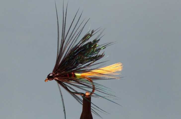 Wet Fly Variationen 0034.JPG