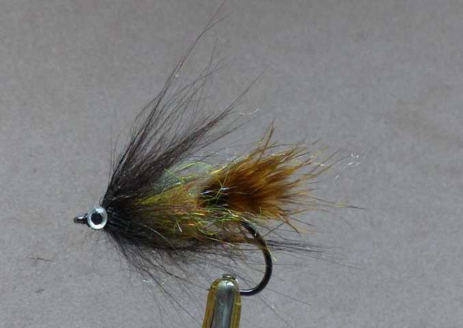 Streamer Variationen 0131.JPG