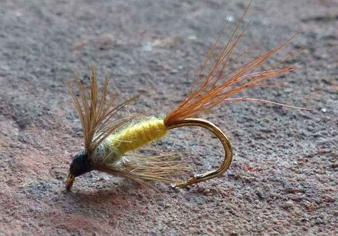 Wet Fly Variationen 0351.JPG