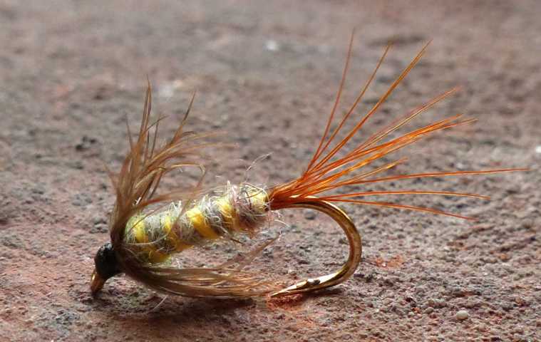 Wet Fly Variationen 0361.JPG