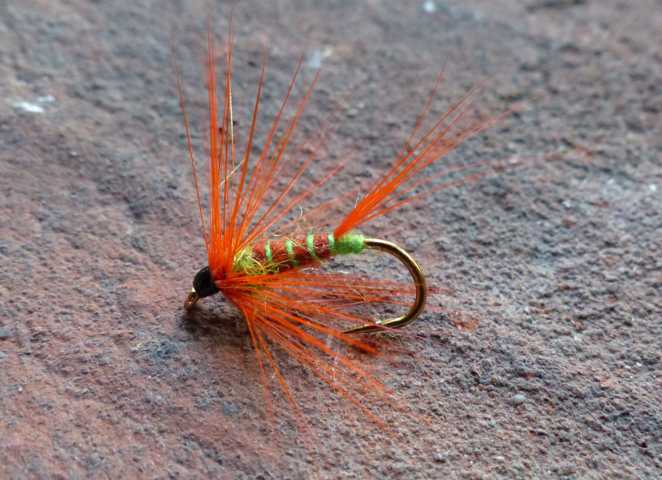 Wet Fly Variationen 0371.JPG