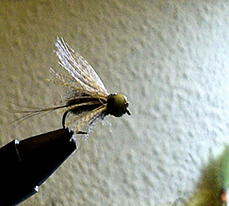 PICT0073.JPG