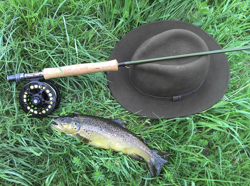 First Fario on Fly