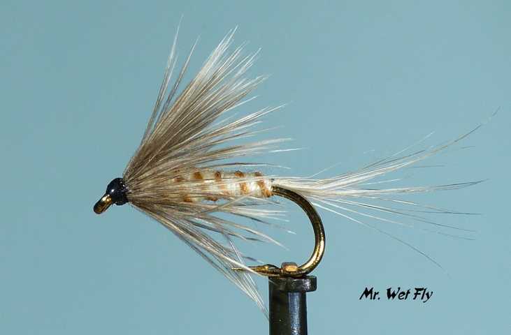 Wet Fly Variationen 0381.JPG