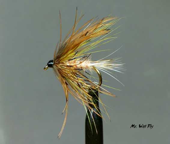 Wet Fly Variationen 0391.JPG