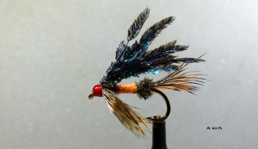 Wet Fly Variationen 0421.JPG