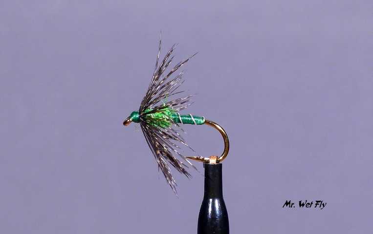 Wet Fly Variationen 0411.JPG