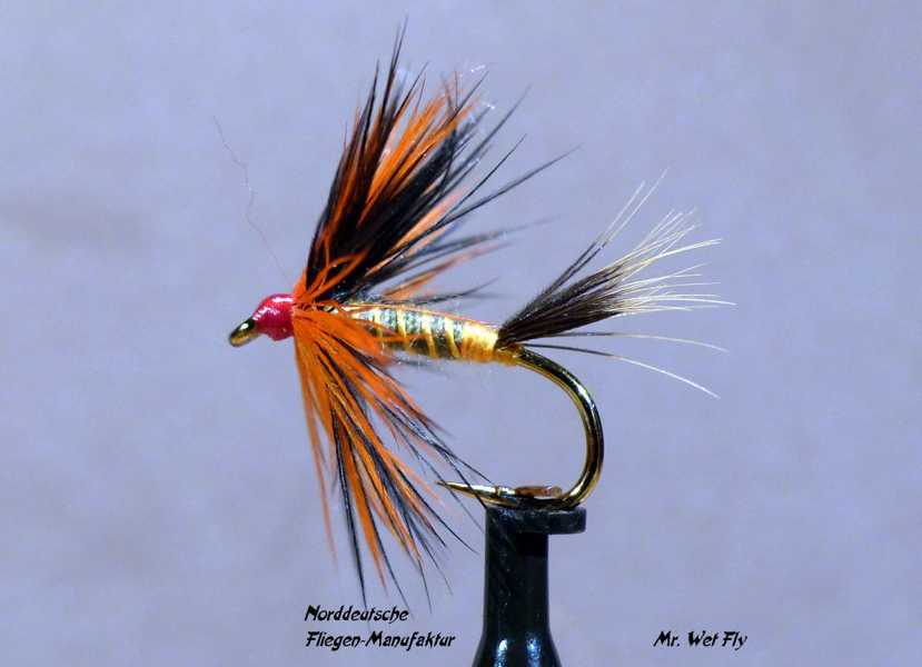 Wet Fly Variationen 0431.JPG