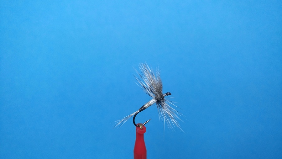 noch eine Catskill Dry